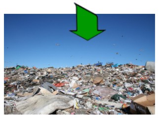 arboriculture-asis-4