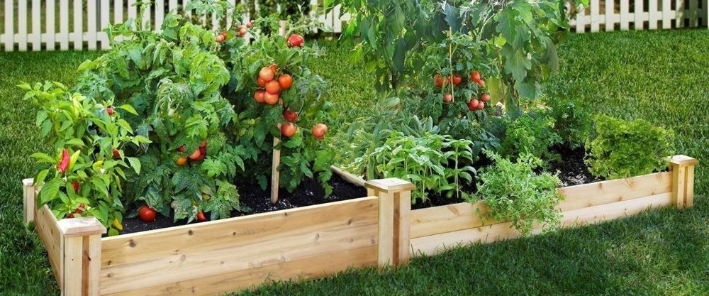 raised-garden-photo